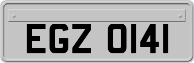 EGZ0141