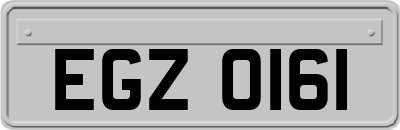 EGZ0161