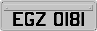 EGZ0181