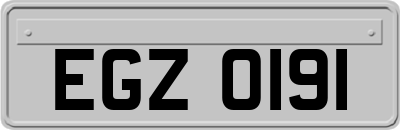 EGZ0191