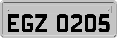 EGZ0205