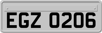 EGZ0206