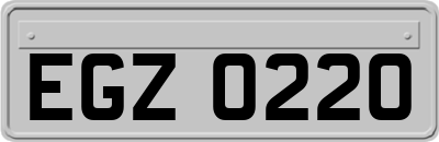 EGZ0220