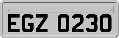 EGZ0230