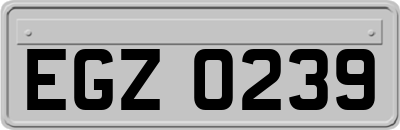 EGZ0239