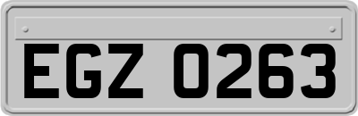EGZ0263