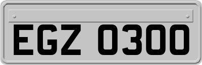 EGZ0300