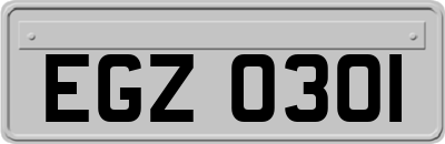 EGZ0301