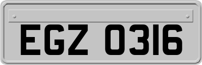 EGZ0316