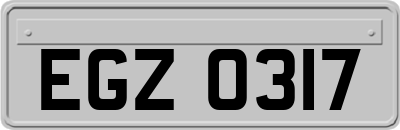 EGZ0317