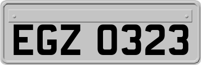 EGZ0323