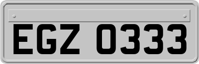 EGZ0333
