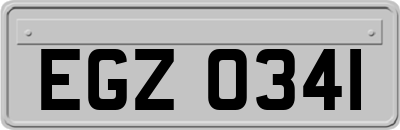 EGZ0341