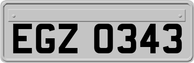 EGZ0343