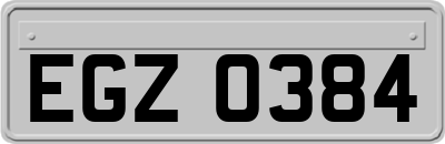 EGZ0384