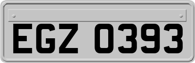 EGZ0393