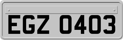 EGZ0403