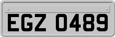 EGZ0489