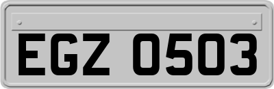 EGZ0503