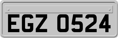 EGZ0524