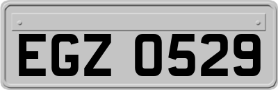 EGZ0529