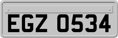 EGZ0534