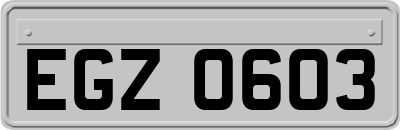 EGZ0603
