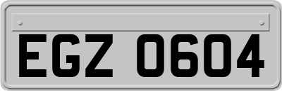 EGZ0604