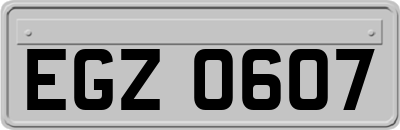 EGZ0607
