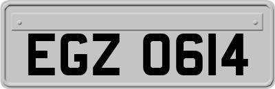 EGZ0614