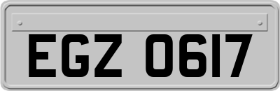 EGZ0617