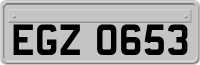 EGZ0653