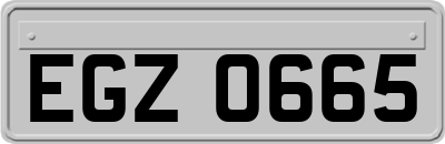EGZ0665