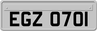 EGZ0701