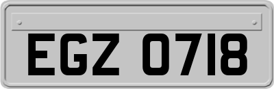 EGZ0718