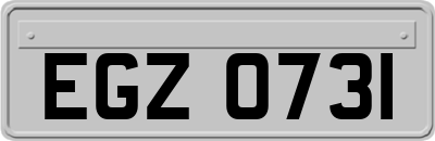 EGZ0731