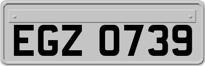 EGZ0739