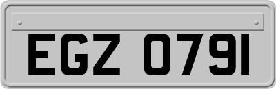 EGZ0791
