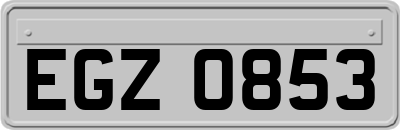 EGZ0853