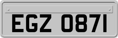 EGZ0871