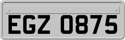 EGZ0875