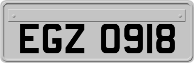 EGZ0918