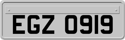 EGZ0919