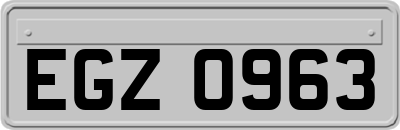 EGZ0963