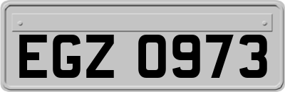 EGZ0973