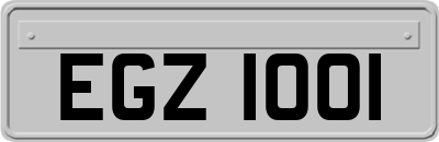 EGZ1001