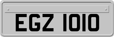 EGZ1010