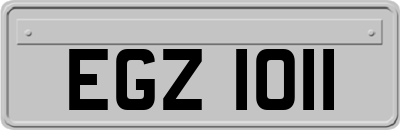 EGZ1011