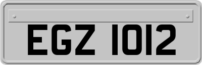 EGZ1012