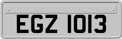 EGZ1013